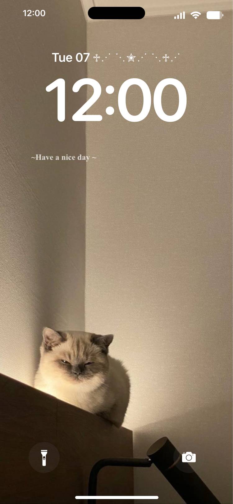 Cat Lockscreen[t0dm1onqYiSJvOIQIhaY]