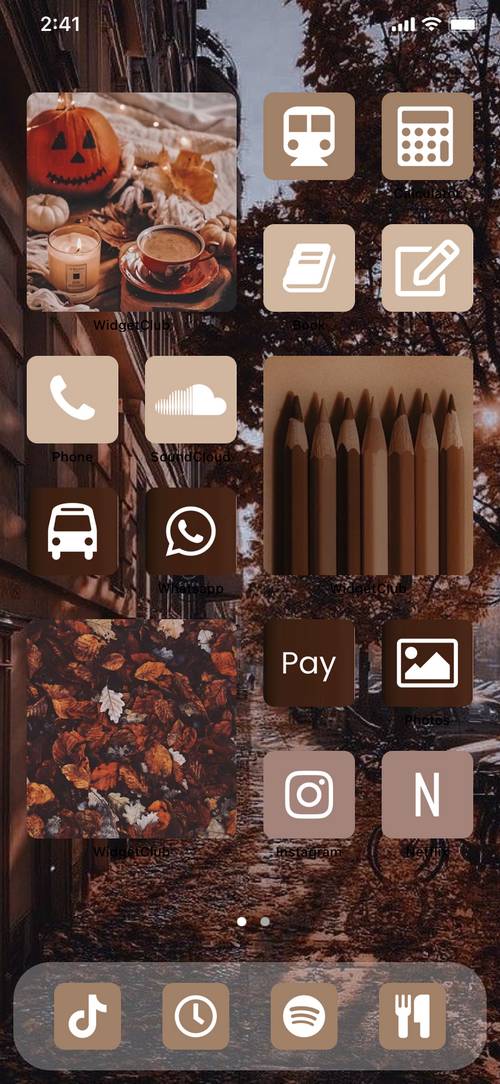 Brown Home Screen ideas[nGgZTMFMn2ygNzzBWhG2]