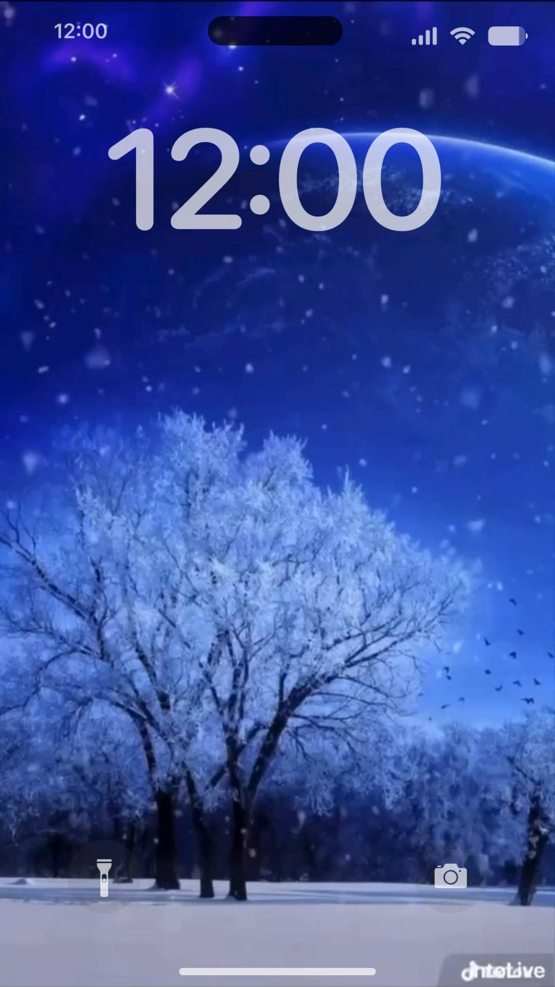  Live Wallpaper[GcVKEHnECzzkujbxt4m7]