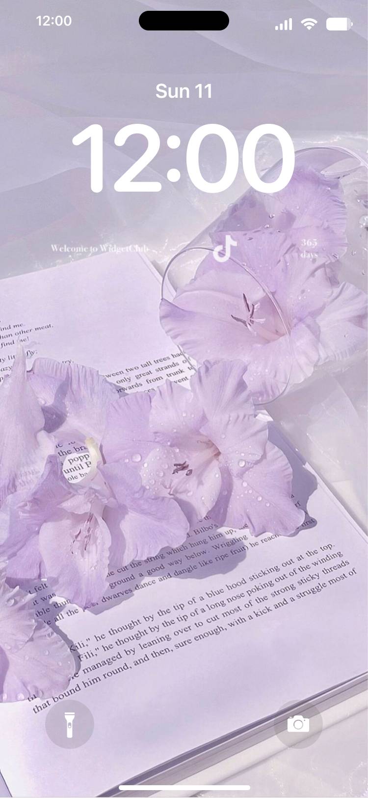 Purple Lockscreen[EjhjeaaTlvD1UYuUYkmo]