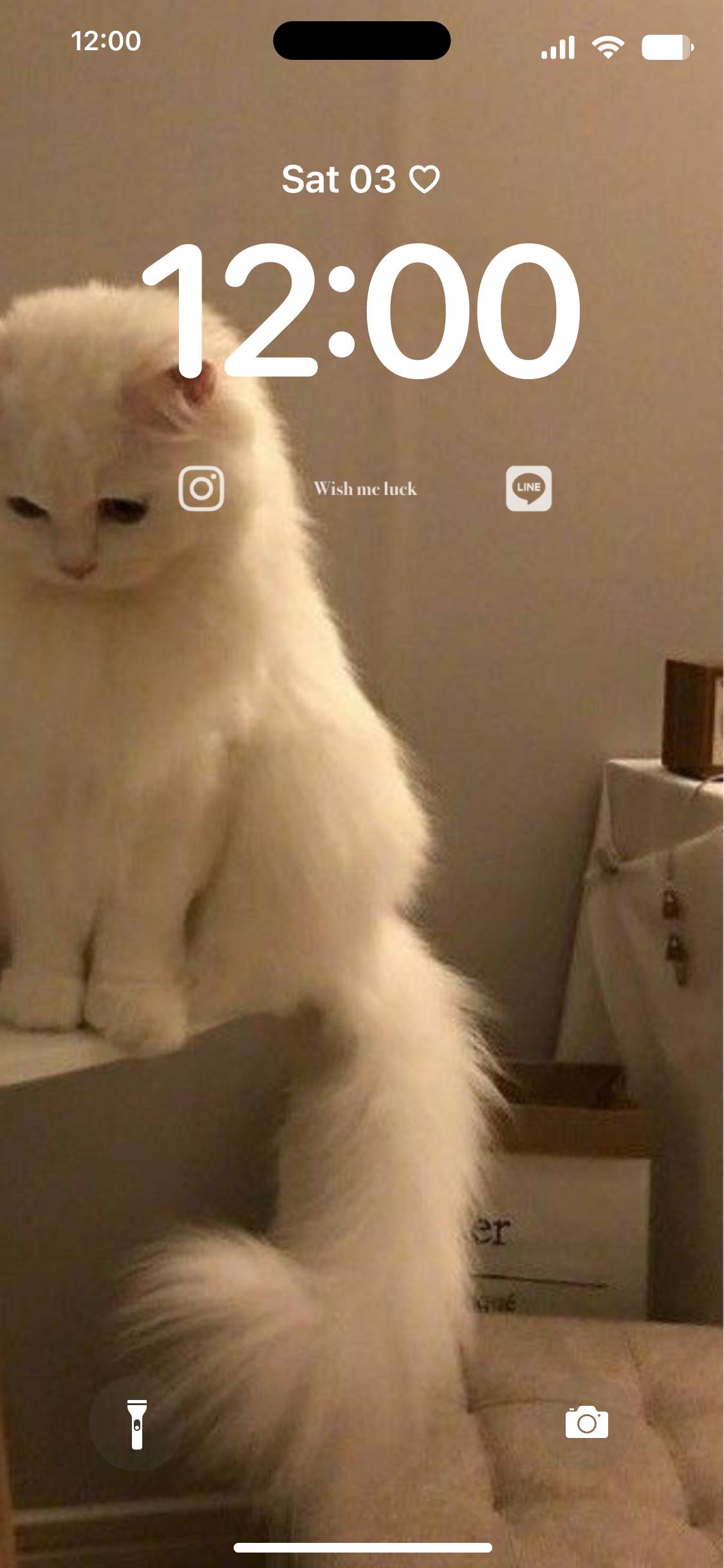 Cat Lockscreen[7BviJqvEOWKOQnJDpt6S]