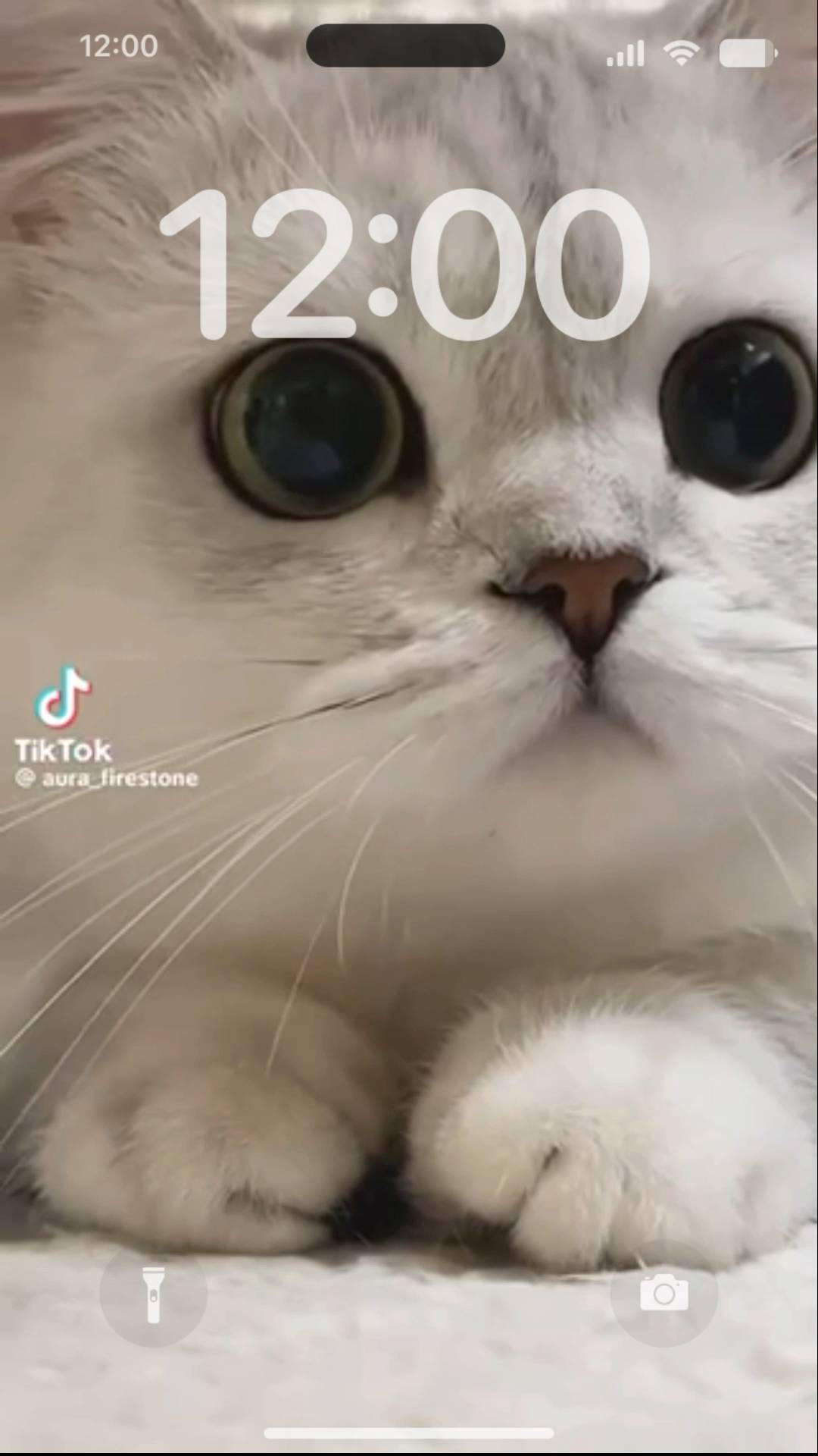  Live Wallpaper[8deqXO91NtTTZBkNQoQH]