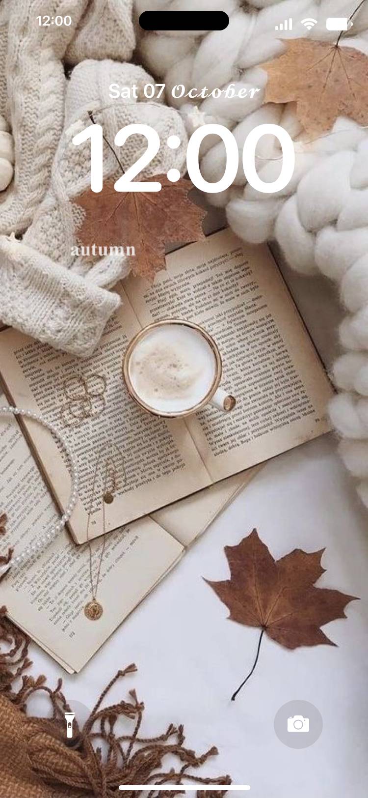 autumn Lockscreen[Nl9yAcMgA3KDelB3zHNR]